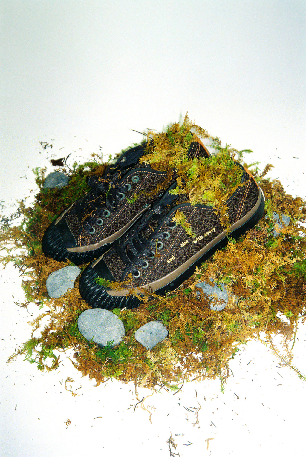 FROG SHOES (PF FLYERS X PROJECK FROG)