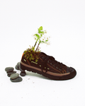 FROG SHOES (PF FLYERS X PROJECK FROG)